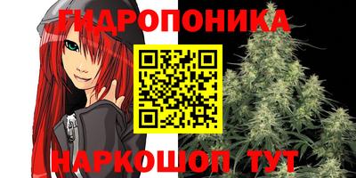 ешки Аргун